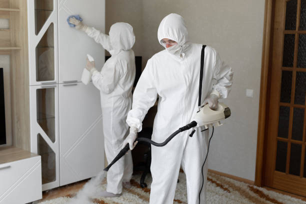 Trusted Stuart, VA Mold Remediation Experts